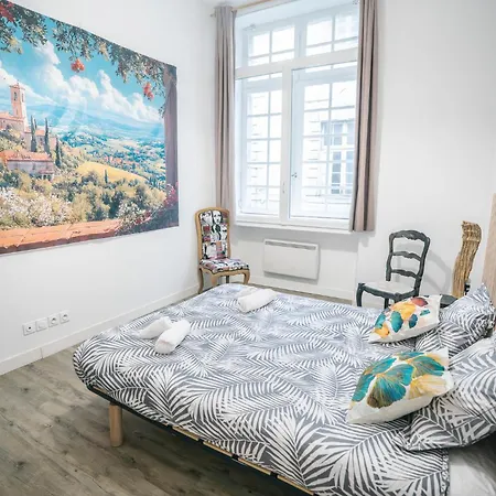 Spacieux & Confortable Au Coeur Du Centre-ville-aq Carcassonne